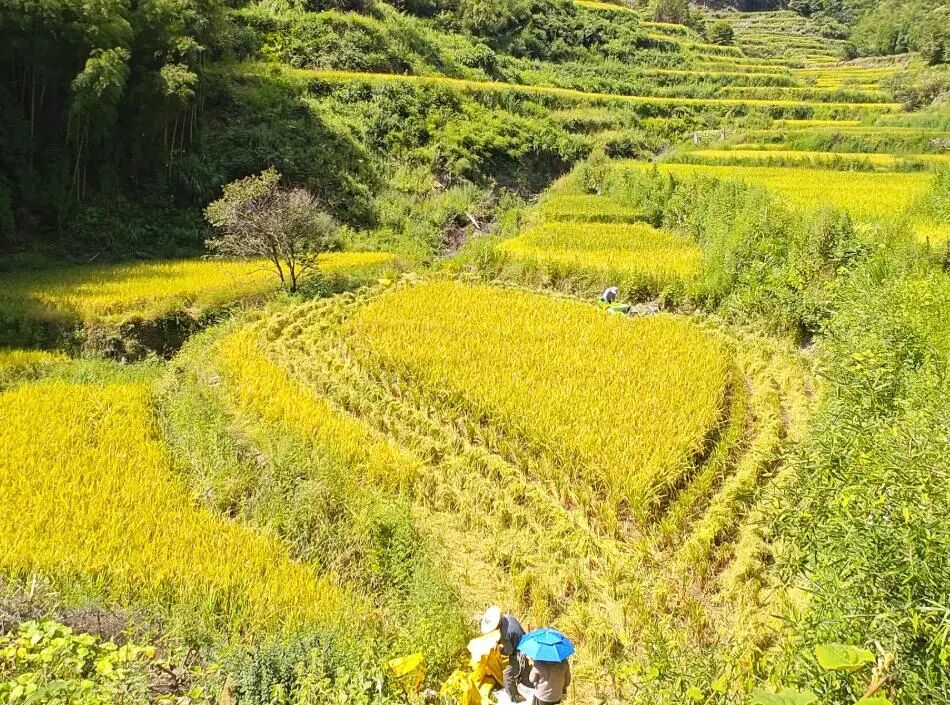 wechat_2025-09-19_084805_796.jpg