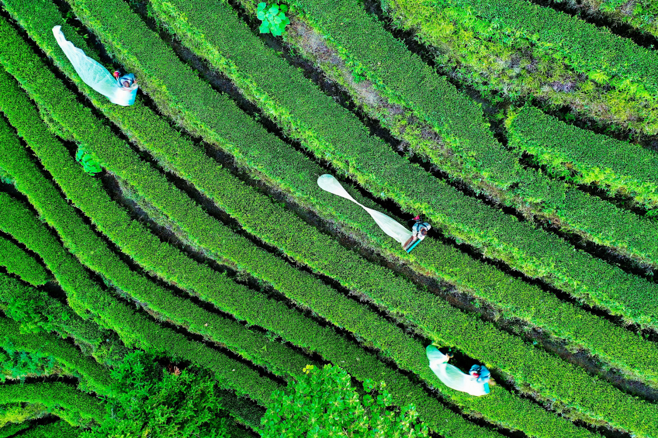 W020250920830853859018_副本.jpg