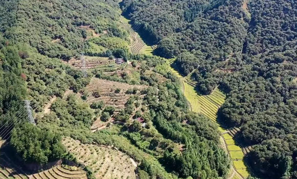 wechat_2025-09-22_075325_157.jpg