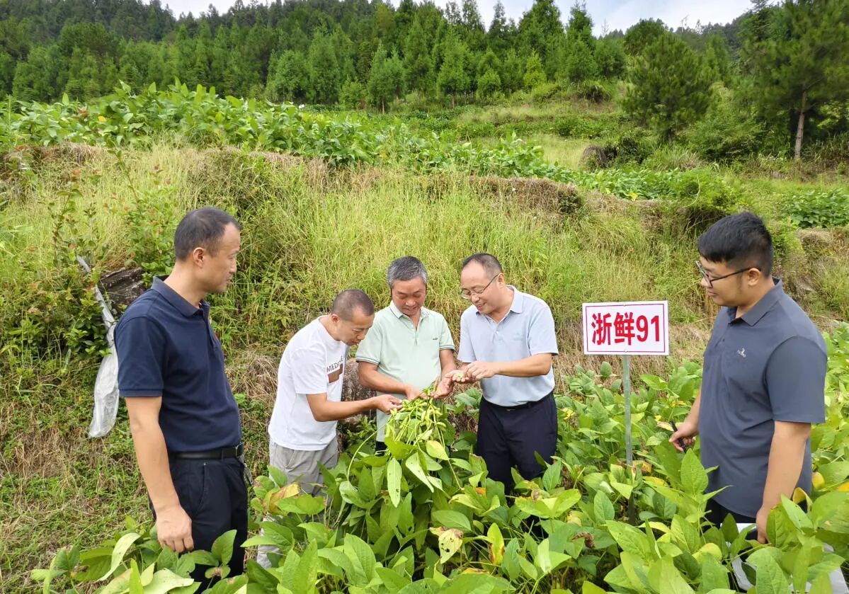 wechat_2025-09-25_081842_071.jpg