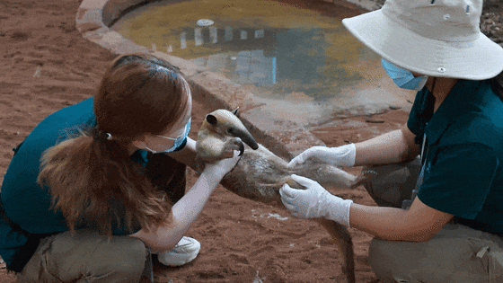 MVI_9772[00-00-10--00-00-13].gif