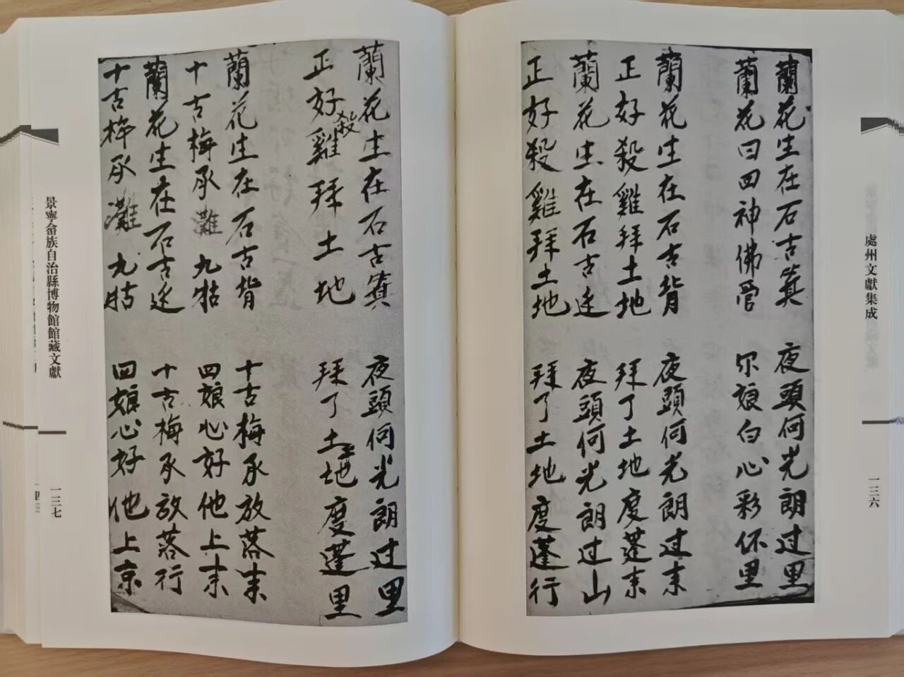 微信图片_2025-09-28_220718_856.jpg