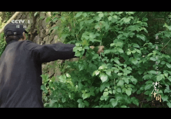 3494e94db1034b44d55767d66a5a0f43_raw[00-02-51--00-02-56].gif