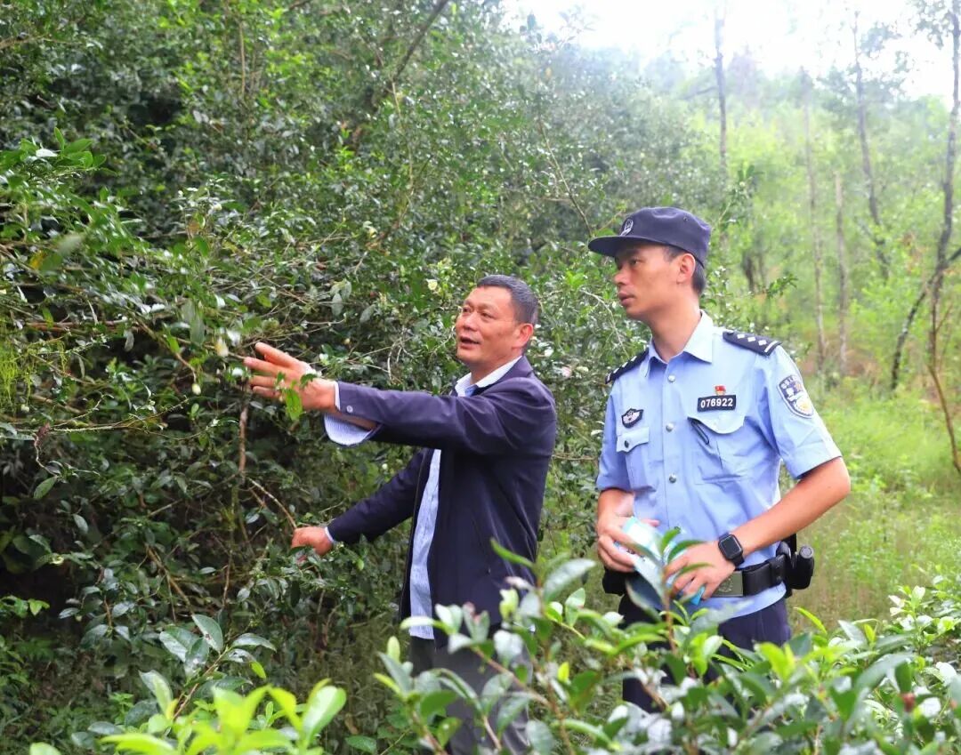 庆元 丽水公安 .jpg