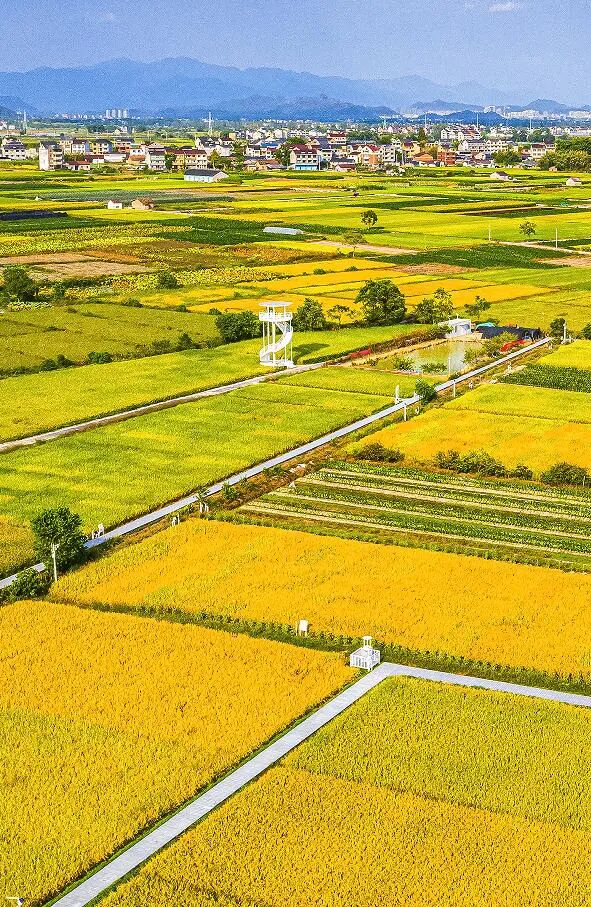 wechat_2025-10-18_095617_266.jpg