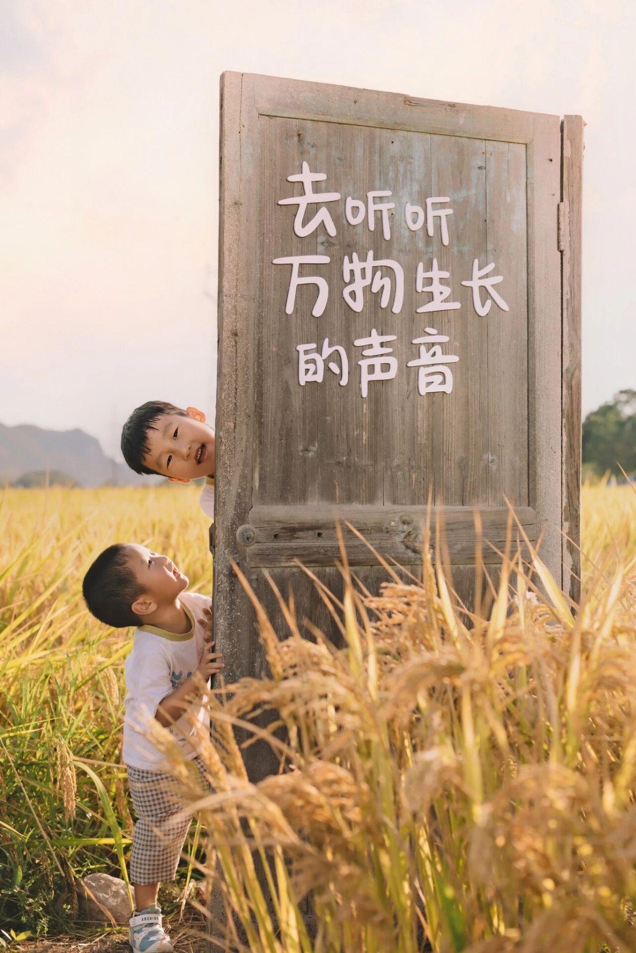 缙云东方镇.jpg