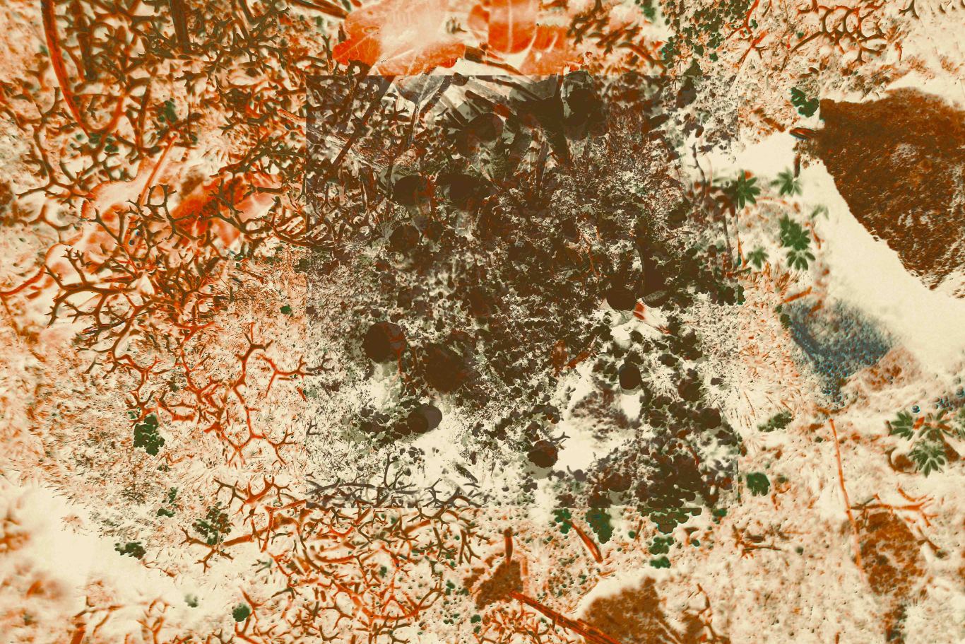 W020251105371968231569.jpg
