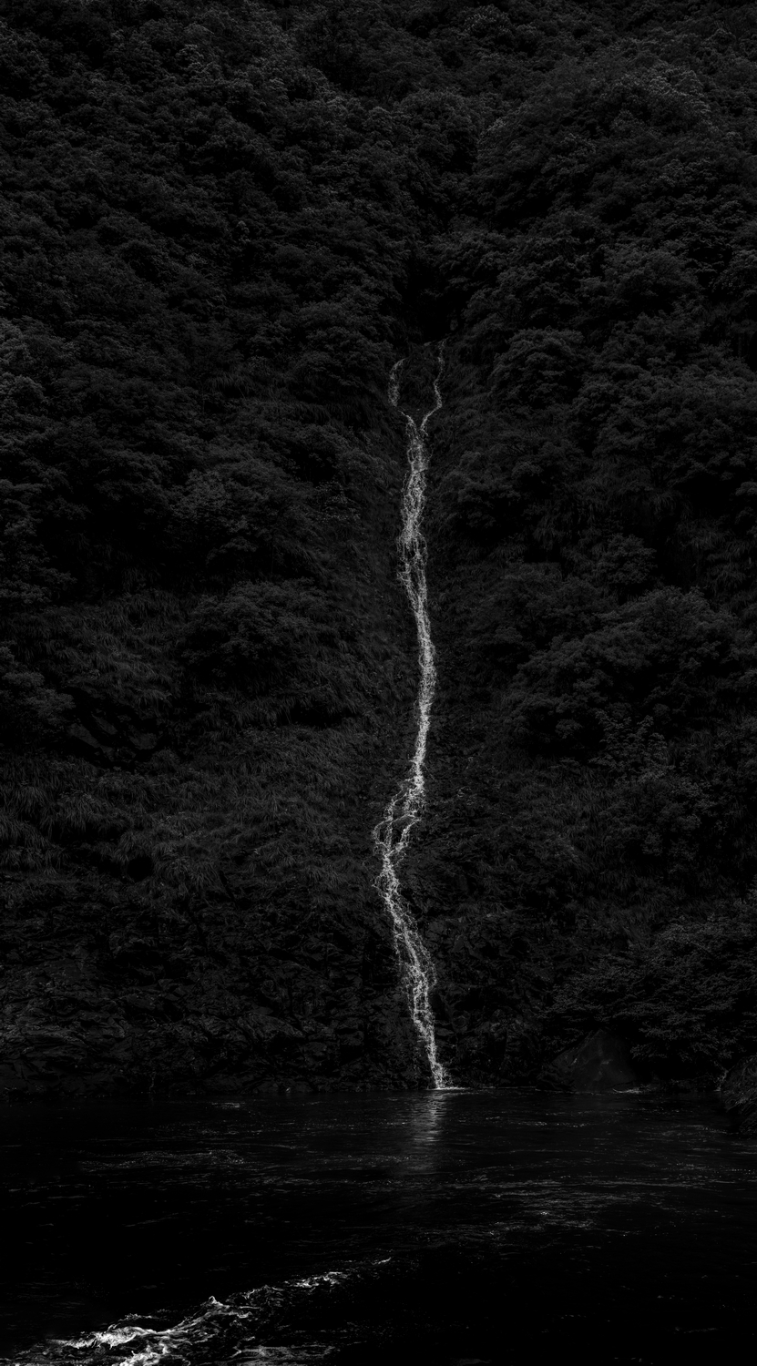 W020251105416137315637.png