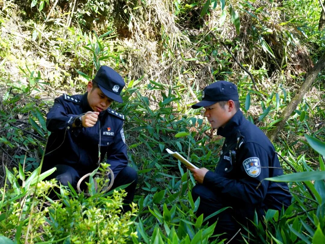 1.巡山护绿 缙云公安供图.jpg
