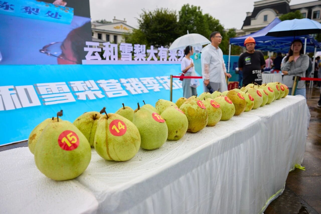 微信图片_20251215115527.jpg