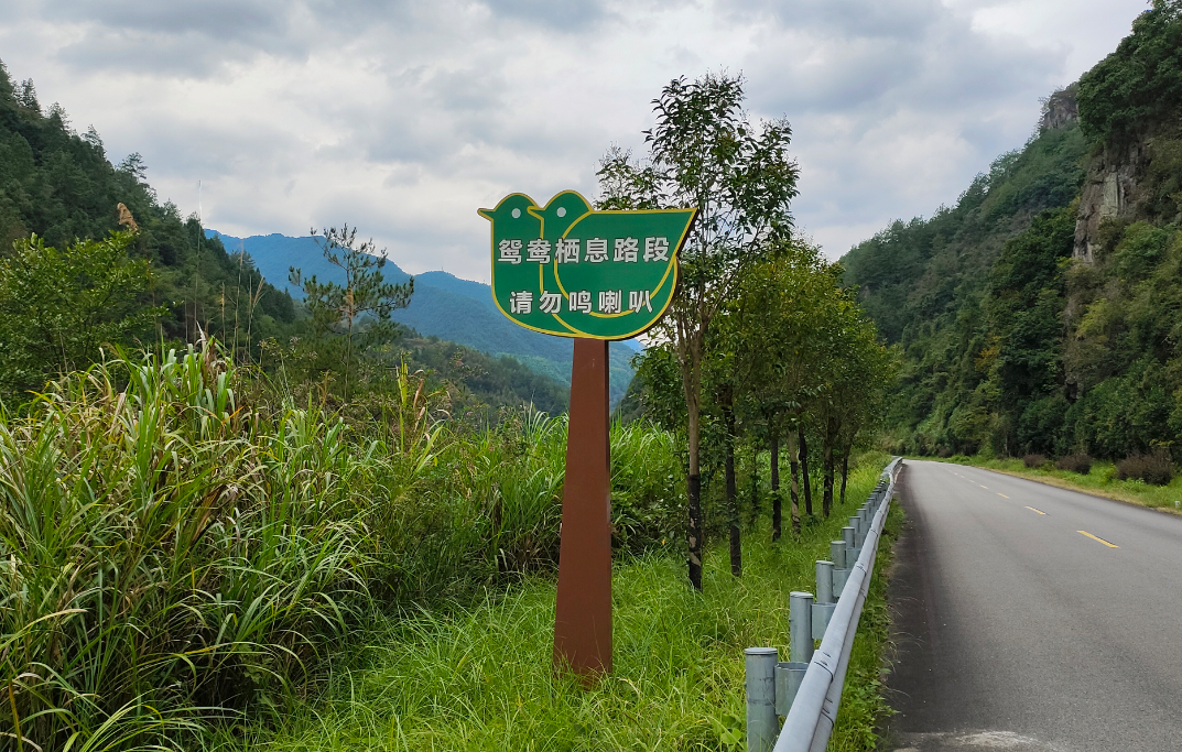 360截图20251226105039.png