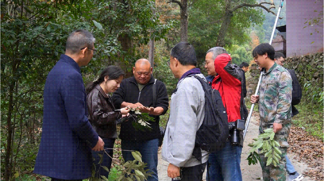 1213陈嵘栲[00_05_00][20251226-112339-7]_副本.gif