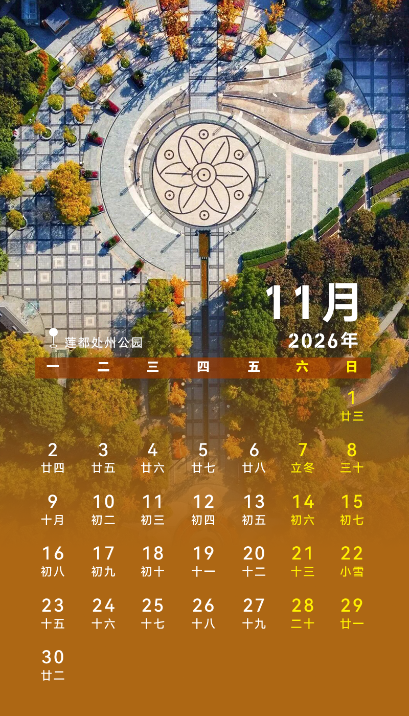 11.png