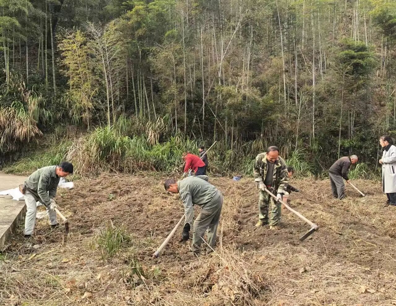 微信图片_20260107080905_40_364.jpg