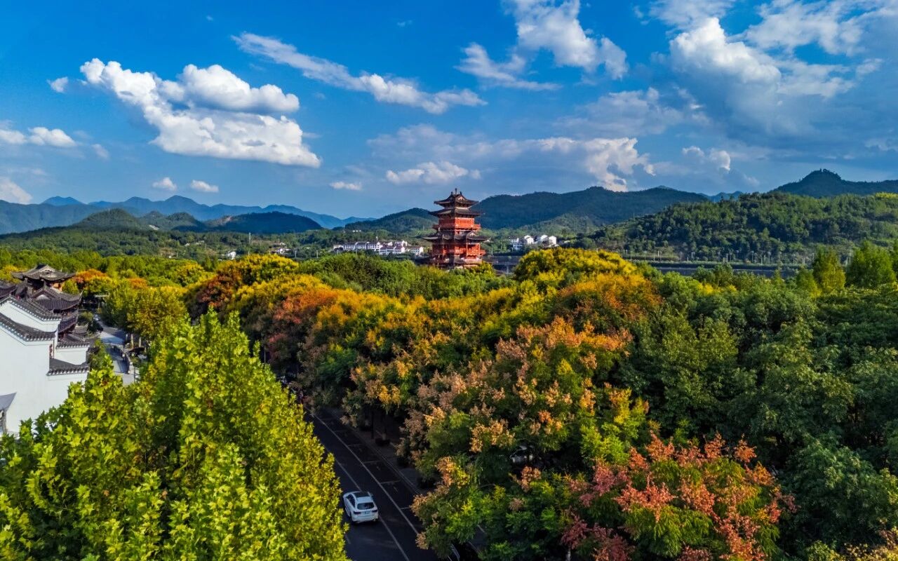 原图.jpg