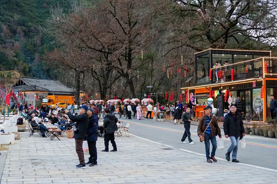 DSC04036-opq4391991476.jpg