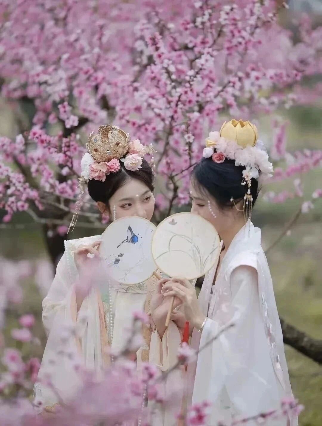 微信图片_20260302151745_6_301.jpg