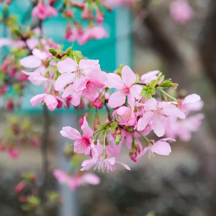 4R4A0076.JPG