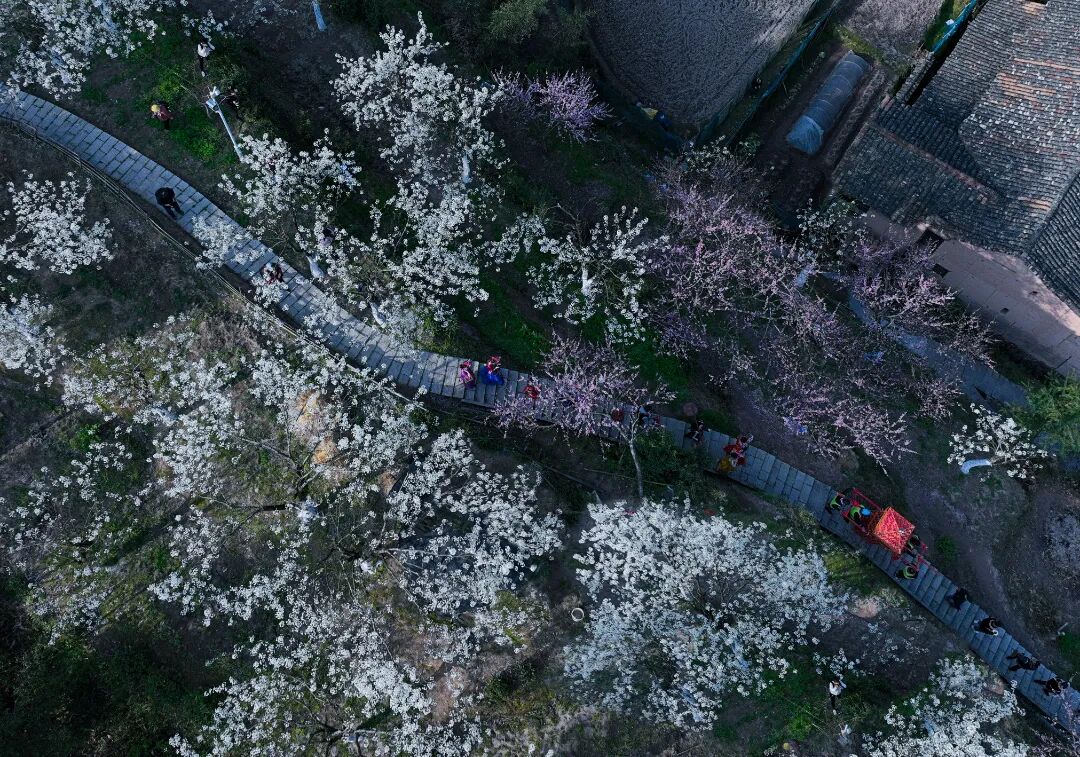 刘海波.jpg