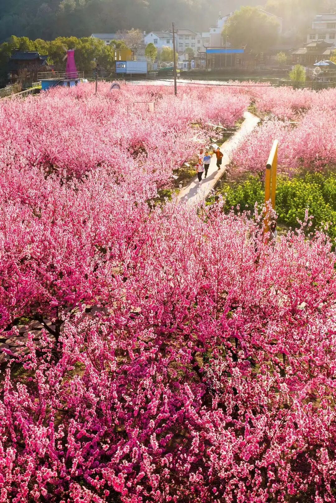 陈荣华1.jpg