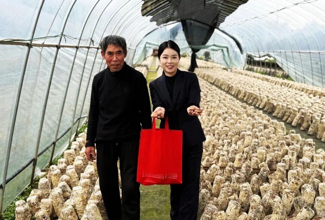 微信图片_20260319082238_79_609.jpg