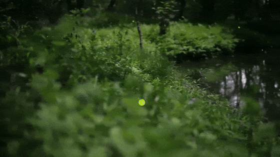7a1fd98df3edc52879e3c81bb84c7baf_640_wx_fmt=gif#imgIndex=14.gif
