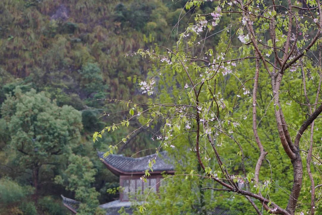 CHW00625.JPG
