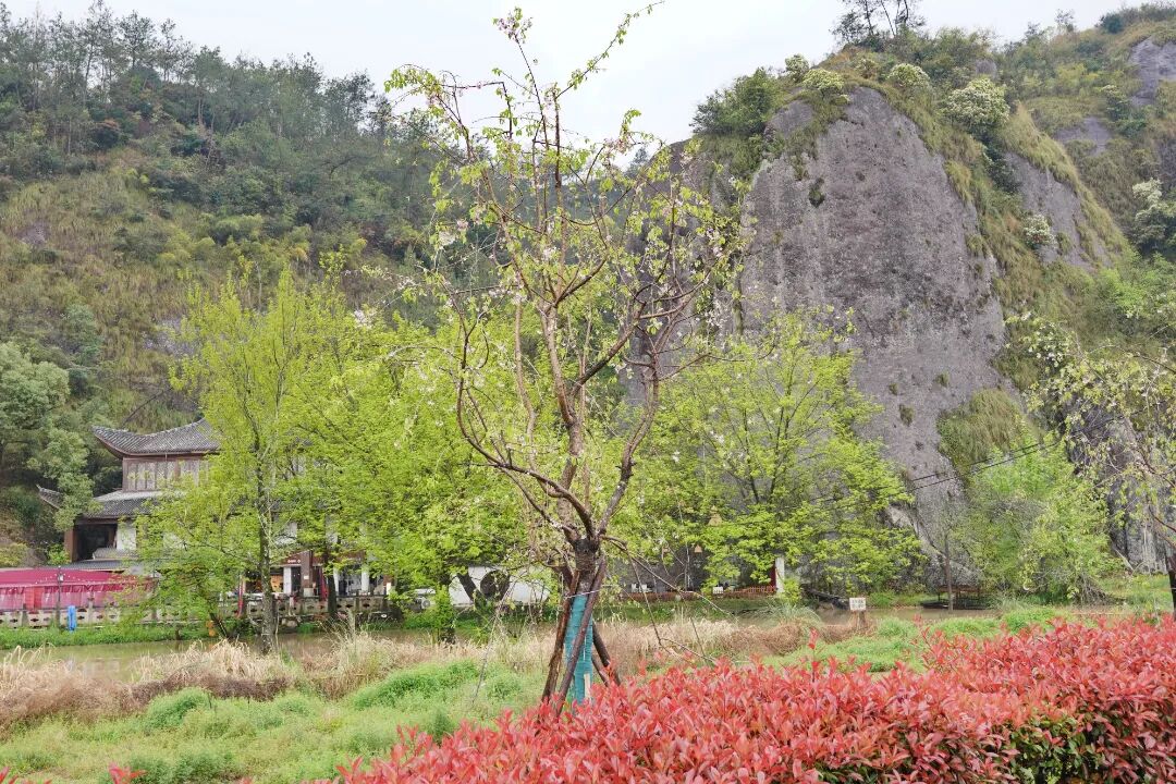 CHW00629.JPG