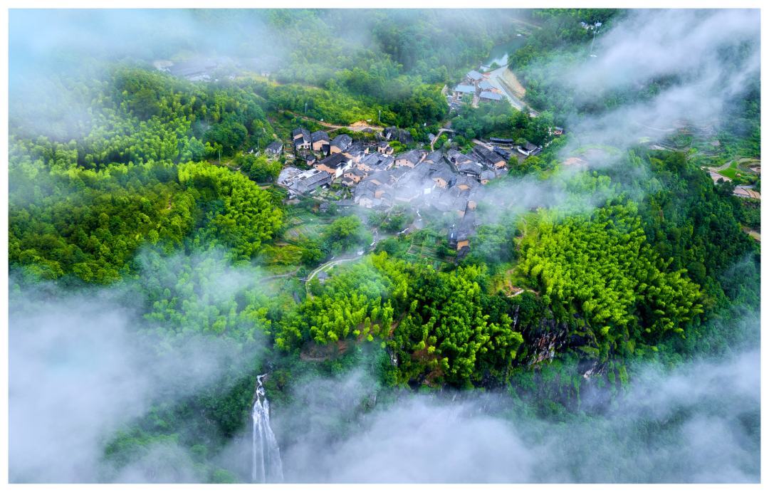 龙泉下樟村1.png