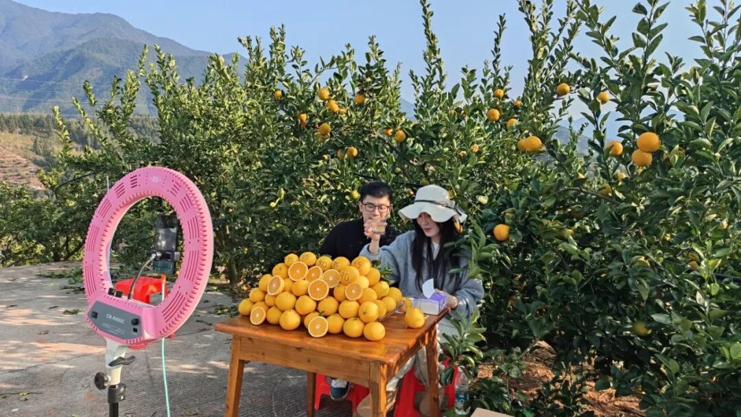 微信图片_2026-05-25_082636_585.jpg