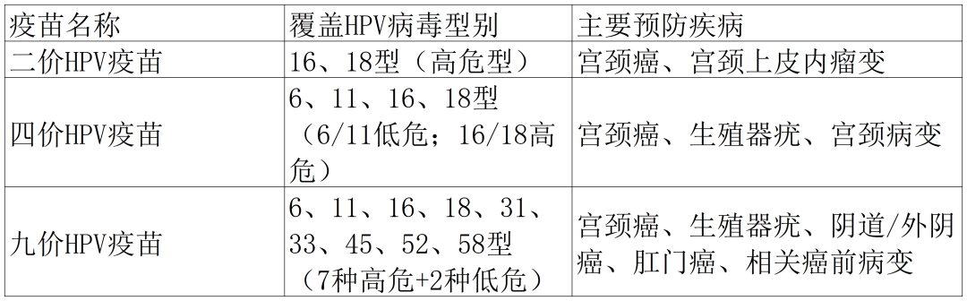 疫苗分类表格_Sheet1.png