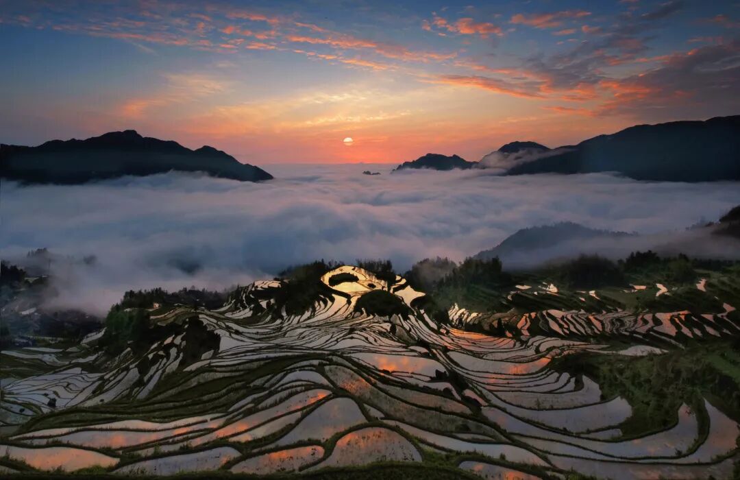 四季梯田-春.jpg