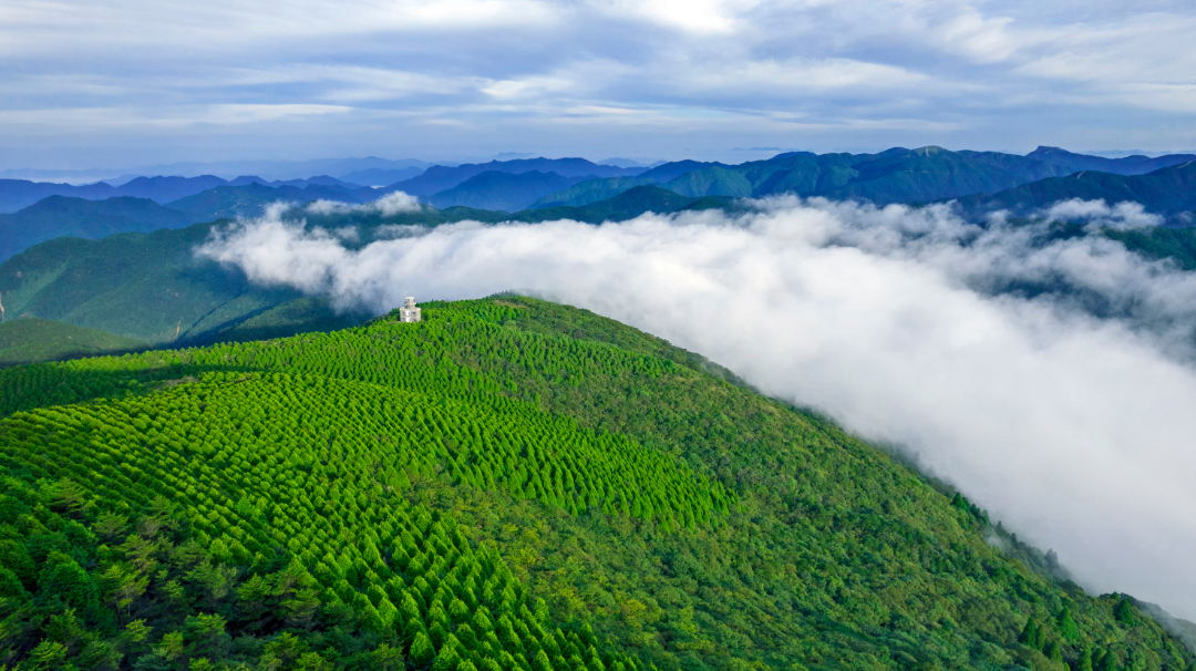 百山祖顶峰.jpg