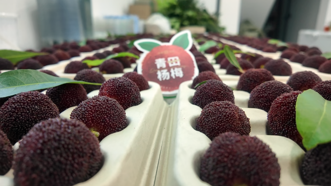 微信图片_2026-06-08_152303_483.png