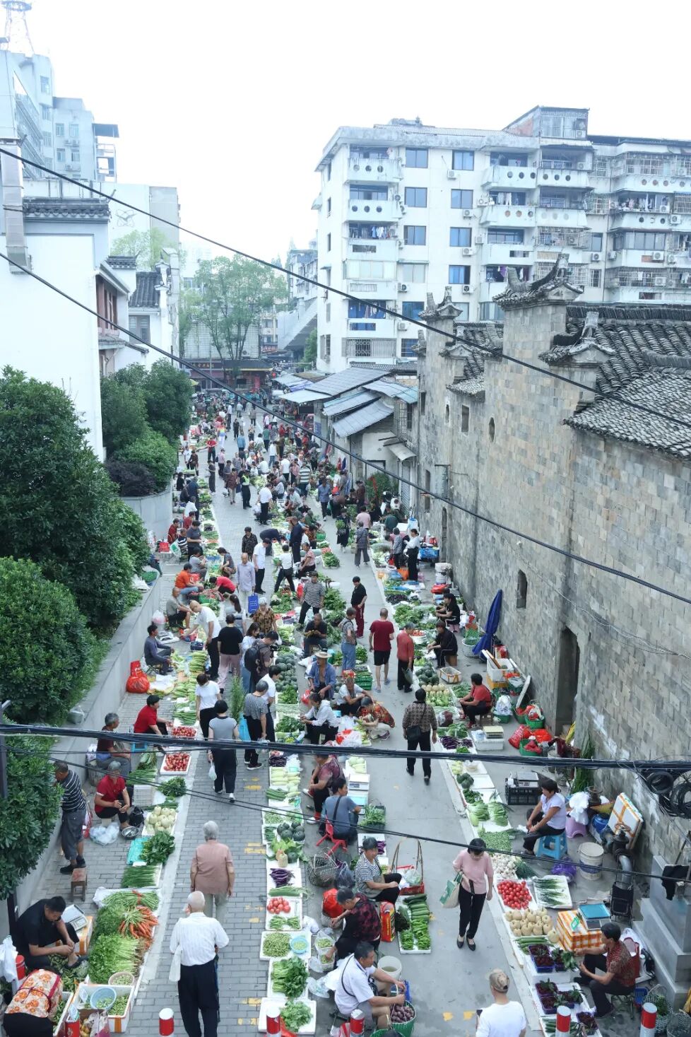 IMG_1024_爱奇艺.jpg