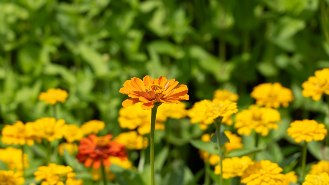 PANA9018.jpg
