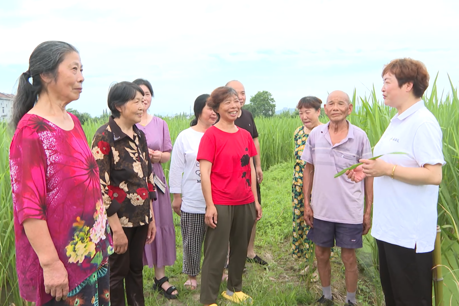 微信图片_2026-07-04_074113_015.png