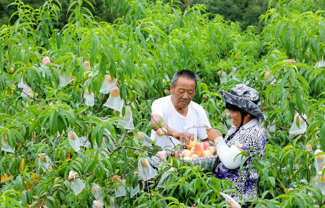 5C938EF0-5CDD-4A08-90A4-5BE666FB8826_AI看图.jpg