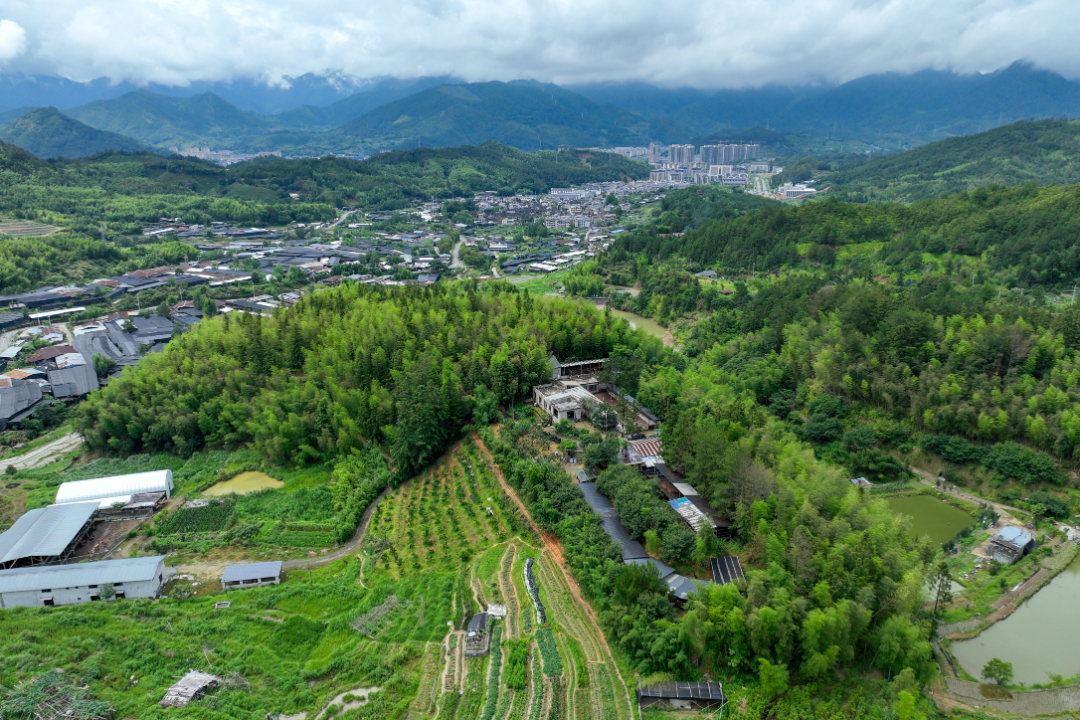 DJI_0457.jpg