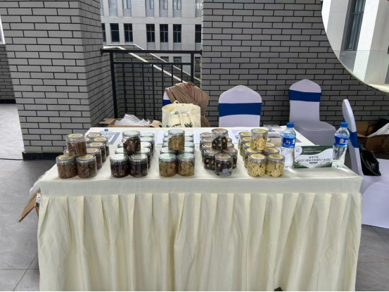 输出&ldquo;丽水范式&rdquo;！我市一康养研究成果走向584.png