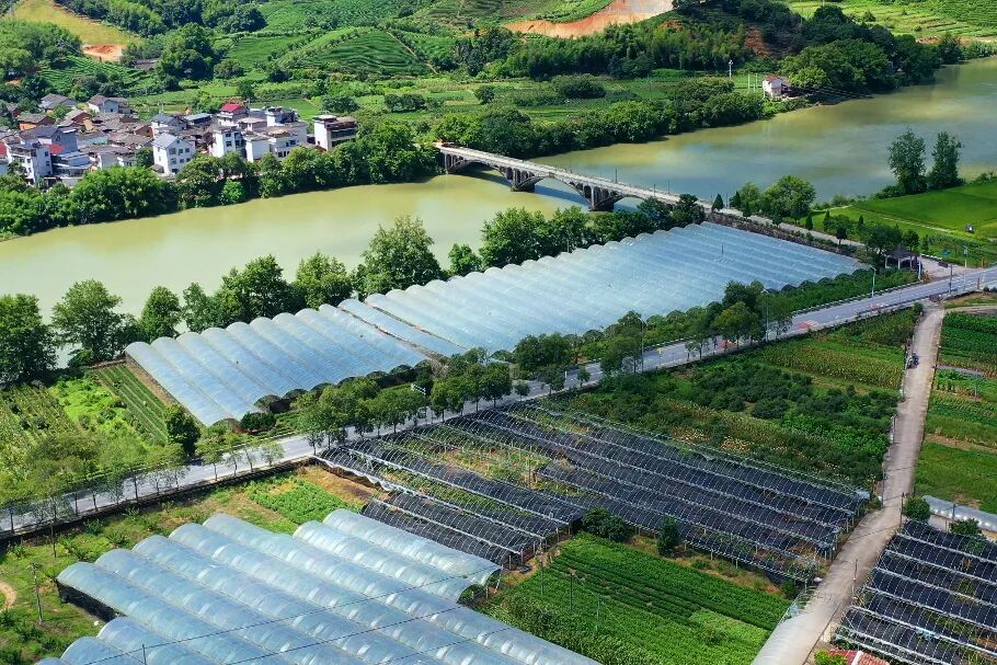 象溪瑞盛农场大景1.jpg