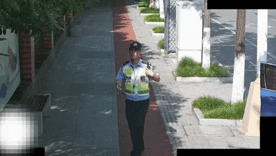 监控视频（仅打码粗剪）[00_00_03--00_00_09].gif