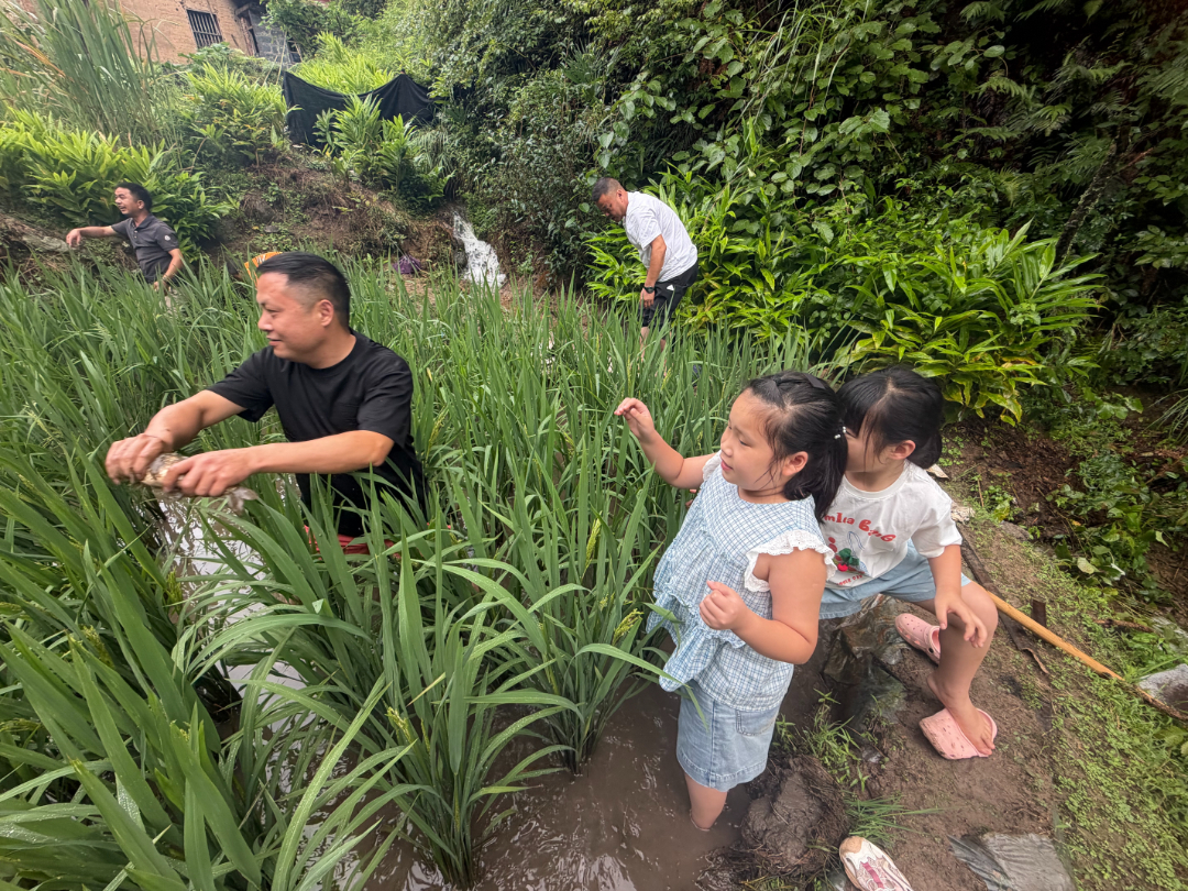 摸鱼.jpg