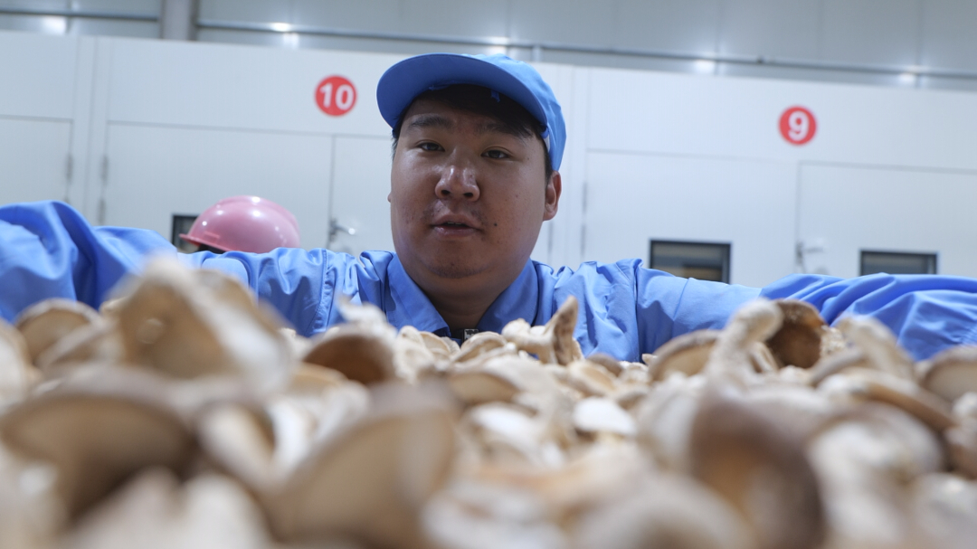 杨迪皓.jpg