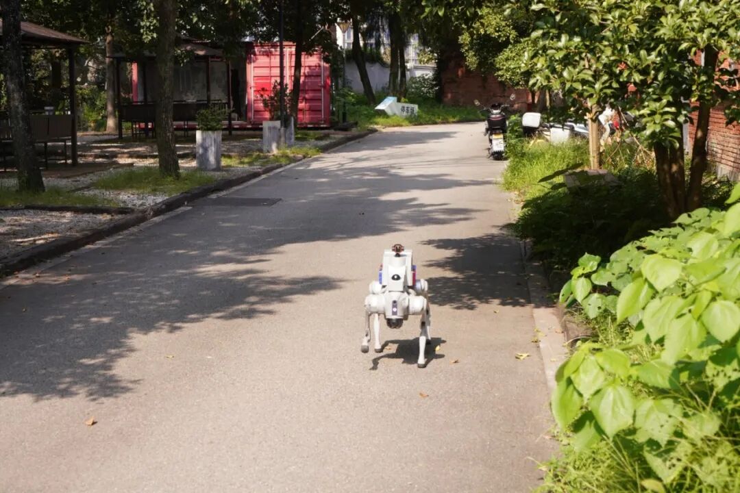 DSC09043.JPG