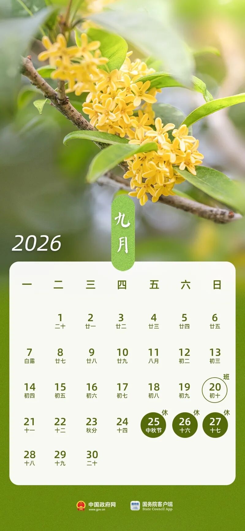 W020251104622965043517_ORIGIN.jpg