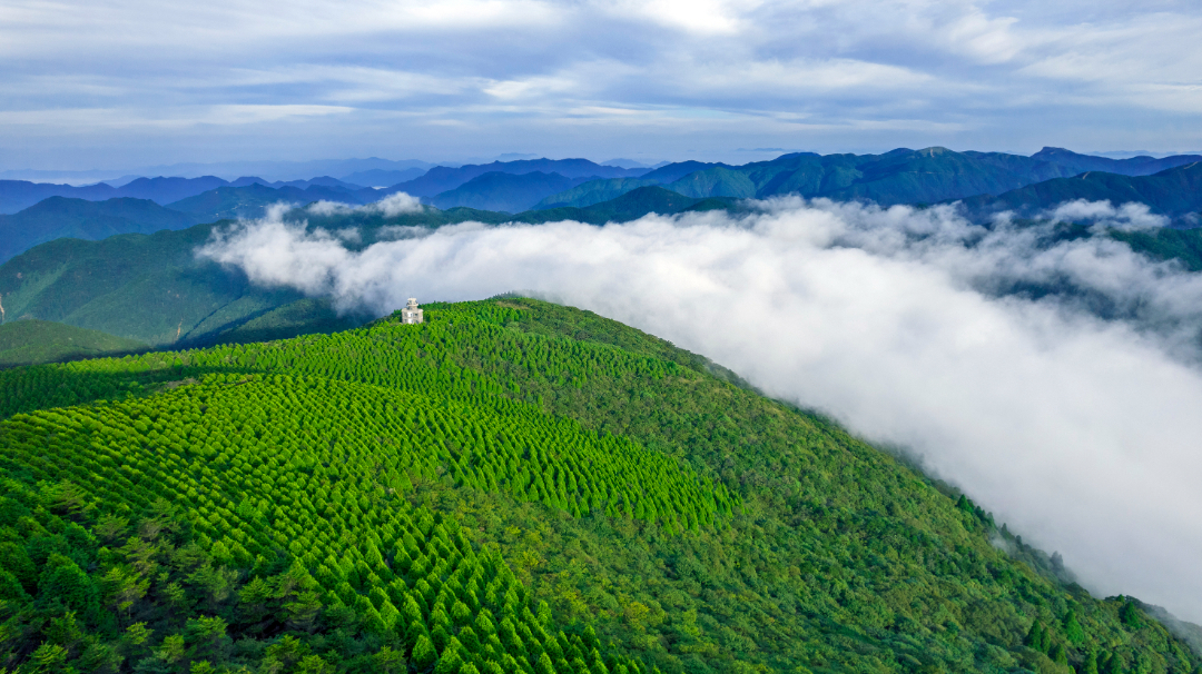 百山祖顶峰.jpg