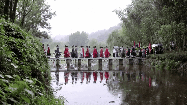 8F0A8882.gif