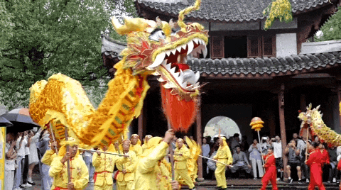8F0A8886.gif