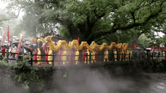 8F0A8883.gif